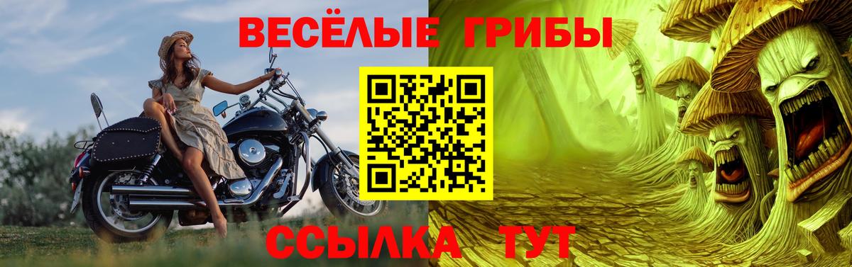 Барабинск  Псилоцибиновые грибы мицелий  Вход с VPN 