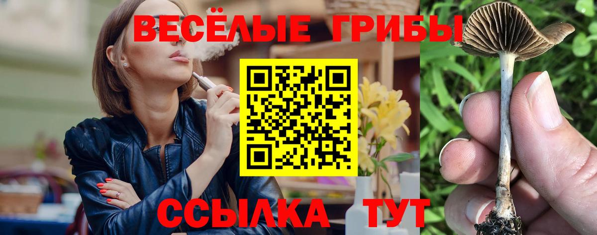 Галлюциногенные грибы Magic Shrooms Барабинск
